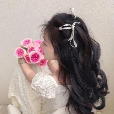 母亲的树 在线观看封面