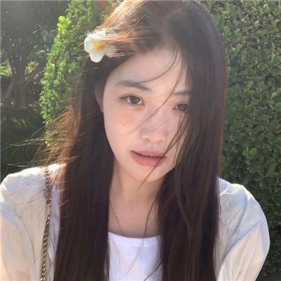 神圣的母牛 在线观看封面