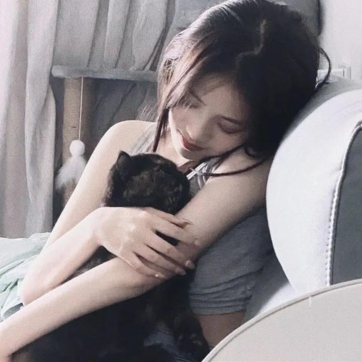急速狂奔 在线观看封面